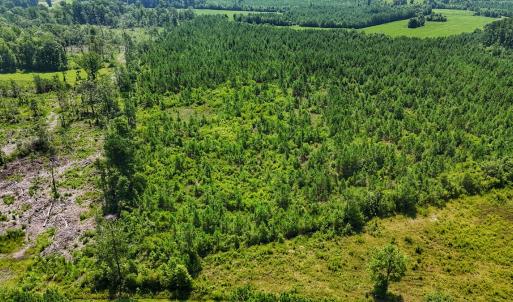 Photo #31 of SOLD property in Off Bowen Blanks Drive, Rieglewood, NC 4.2 acres