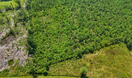 Photo #32 of SOLD property in Off Bowen Blanks Drive, Rieglewood, NC 4.2 acres