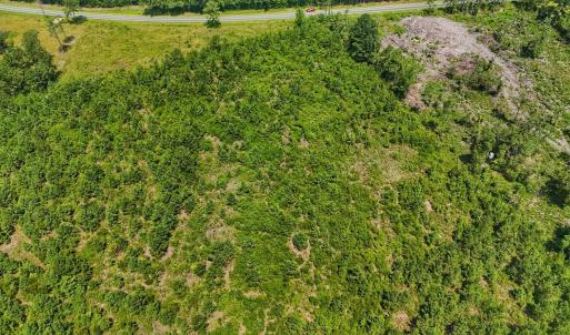 Photo #33 of SOLD property in Off Bowen Blanks Drive, Rieglewood, NC 4.2 acres