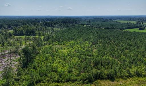 Photo #5 of SOLD property in Off Bowen Blanks Drive, Rieglewood, NC 4.2 acres