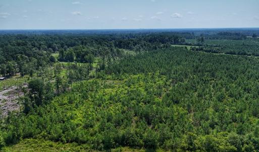 Photo #6 of SOLD property in Off Bowen Blanks Drive, Rieglewood, NC 4.2 acres