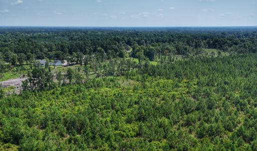 Photo #7 of SOLD property in Off Bowen Blanks Drive, Rieglewood, NC 4.2 acres