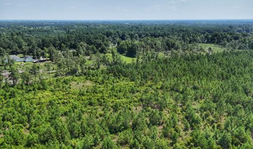 Photo #9 of SOLD property in Off Bowen Blanks Drive, Rieglewood, NC 4.2 acres