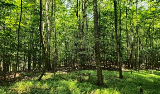 Photo #29 of SOLD property in 196 Collin Drive, Roxboro, NC 1.5 acres