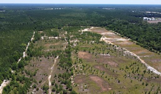 Photo #10 of SOLD property in 03 Josey Williams Road, Erwin, NC 11.0 acres