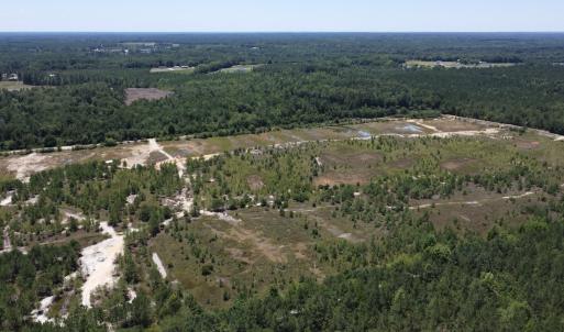 Photo #12 of SOLD property in 03 Josey Williams Road, Erwin, NC 11.0 acres