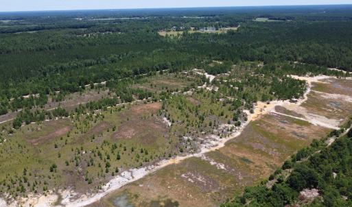 Photo #13 of SOLD property in 03 Josey Williams Road, Erwin, NC 11.0 acres