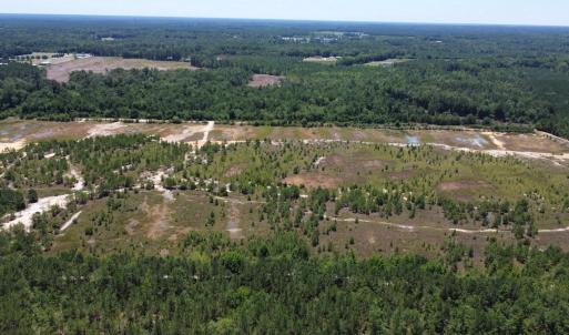 Photo #14 of SOLD property in 03 Josey Williams Road, Erwin, NC 11.0 acres