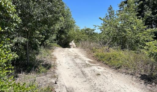 Photo #19 of SOLD property in 03 Josey Williams Road, Erwin, NC 11.0 acres