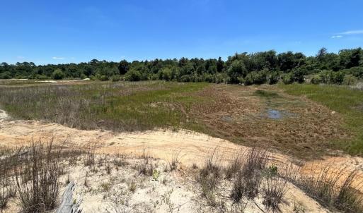 Photo #20 of SOLD property in 03 Josey Williams Road, Erwin, NC 11.0 acres