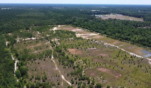 Photo #3 of SOLD property in 03 Josey Williams Road, Erwin, NC 11.0 acres