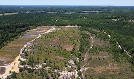 Photo #5 of SOLD property in 03 Josey Williams Road, Erwin, NC 11.0 acres