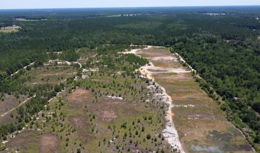 Photo #6 of SOLD property in 03 Josey Williams Road, Erwin, NC 11.0 acres
