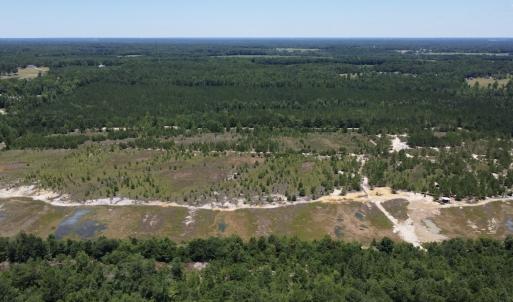 Photo #7 of SOLD property in 03 Josey Williams Road, Erwin, NC 11.0 acres
