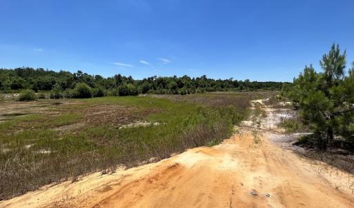 Photo #22 of SOLD property in 03 Josey Williams Road, Erwin, NC 11.0 acres