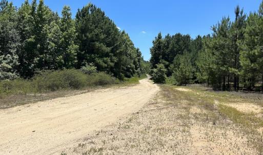 Photo #23 of SOLD property in 03 Josey Williams Road, Erwin, NC 11.0 acres