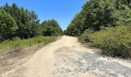 Photo #24 of SOLD property in 03 Josey Williams Road, Erwin, NC 11.0 acres