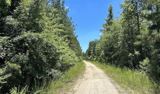 Photo #25 of SOLD property in 03 Josey Williams Road, Erwin, NC 11.0 acres