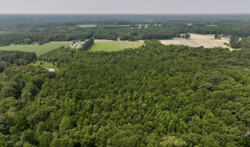Photo #13 of SOLD property in Off Woodruff Rd, Selma, NC 42.0 acres