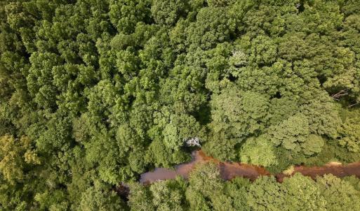 Photo #15 of SOLD property in Off Woodruff Rd, Selma, NC 42.0 acres