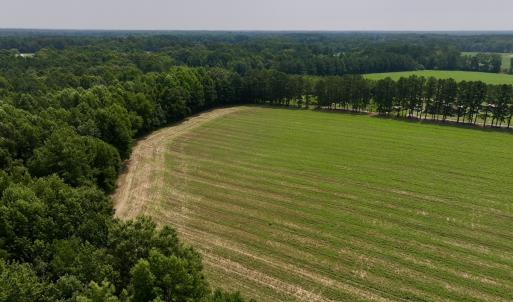 Photo #17 of SOLD property in Off Woodruff Rd, Selma, NC 42.0 acres