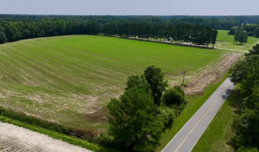 Photo #19 of SOLD property in Off Woodruff Rd, Selma, NC 42.0 acres
