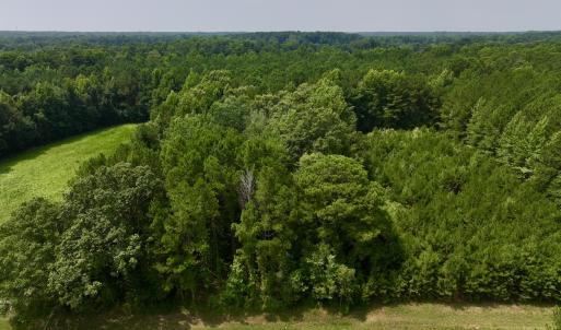 Photo #20 of SOLD property in Off Woodruff Rd, Selma, NC 42.0 acres