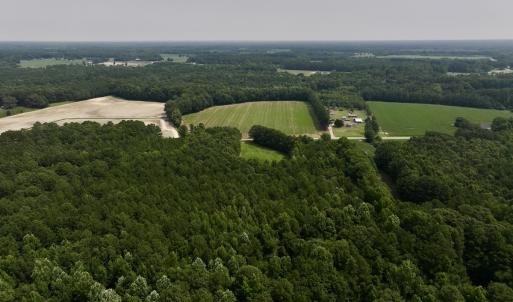 Photo #3 of SOLD property in Off Woodruff Rd, Selma, NC 42.0 acres