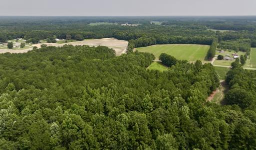 Photo #4 of SOLD property in Off Woodruff Rd, Selma, NC 42.0 acres