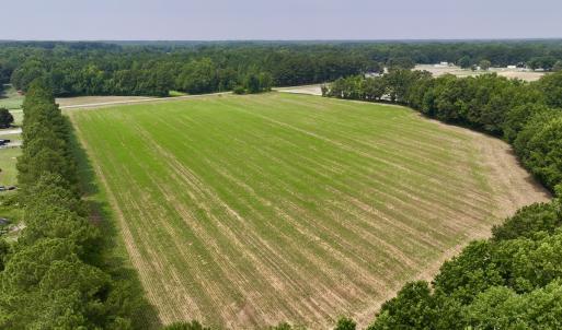 Photo #5 of SOLD property in Off Woodruff Rd, Selma, NC 42.0 acres