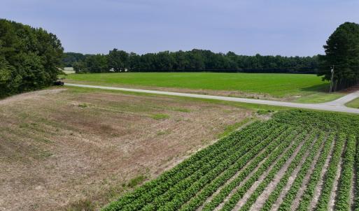 Photo #6 of SOLD property in Off Woodruff Rd, Selma, NC 42.0 acres