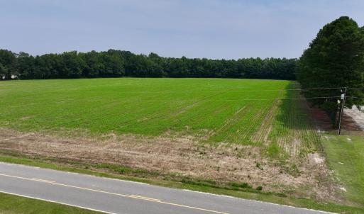 Photo #7 of SOLD property in Off Woodruff Rd, Selma, NC 42.0 acres