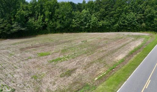 Photo #8 of SOLD property in Off Woodruff Rd, Selma, NC 42.0 acres