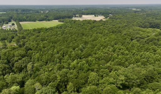 Photo #9 of SOLD property in Off Woodruff Rd, Selma, NC 42.0 acres