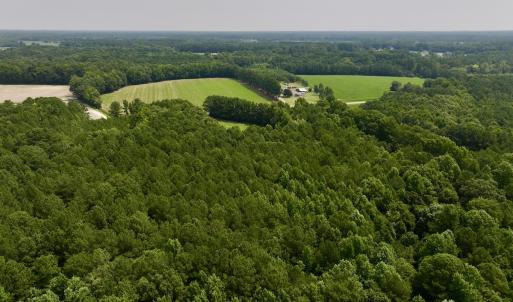 Photo #21 of SOLD property in Off Woodruff Rd, Selma, NC 42.0 acres