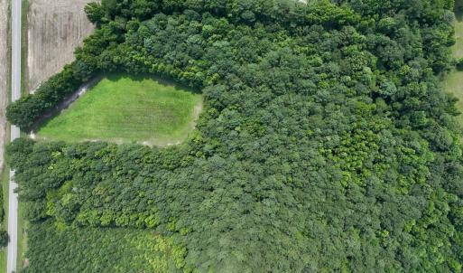 Photo #22 of SOLD property in Off Woodruff Rd, Selma, NC 42.0 acres