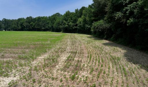 Photo #25 of SOLD property in Off Woodruff Rd, Selma, NC 42.0 acres