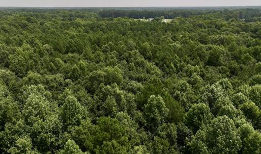 Photo #28 of SOLD property in Off Woodruff Rd, Selma, NC 42.0 acres