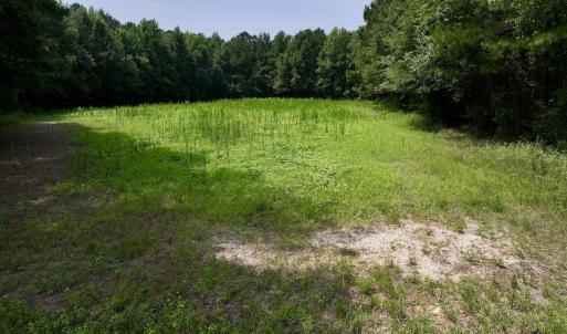 Photo #29 of SOLD property in Off Woodruff Rd, Selma, NC 42.0 acres