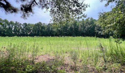 Photo #30 of SOLD property in Off Woodruff Rd, Selma, NC 42.0 acres