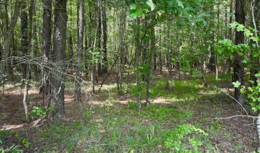 Photo #32 of SOLD property in Off Woodruff Rd, Selma, NC 42.0 acres