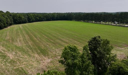 Photo #34 of SOLD property in Off Woodruff Rd, Selma, NC 42.0 acres