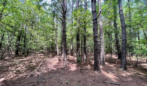 Photo #40 of SOLD property in Off Woodruff Rd, Selma, NC 42.0 acres