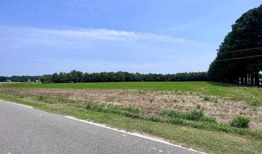 Photo #41 of SOLD property in Off Woodruff Rd, Selma, NC 42.0 acres