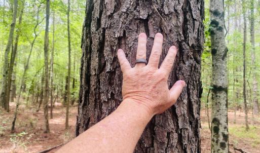 Photo #44 of SOLD property in Off Woodruff Rd, Selma, NC 42.0 acres