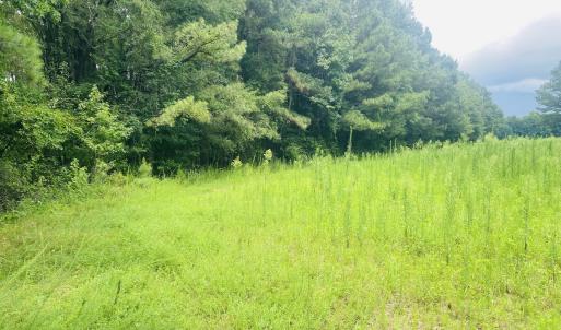 Photo #45 of SOLD property in Off Woodruff Rd, Selma, NC 42.0 acres