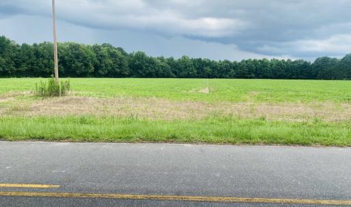 Photo #46 of SOLD property in Off Woodruff Rd, Selma, NC 42.0 acres