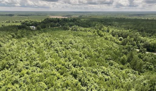Photo #9 of SOLD property in Off Evans Farm Road, Hollister, NC 27.8 acres