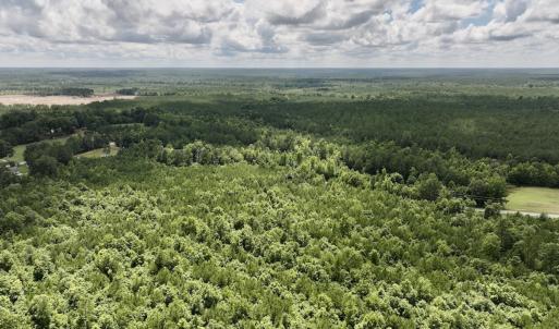 Photo #10 of SOLD property in Off Evans Farm Road, Hollister, NC 27.8 acres