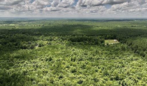 Photo #11 of SOLD property in Off Evans Farm Road, Hollister, NC 27.8 acres